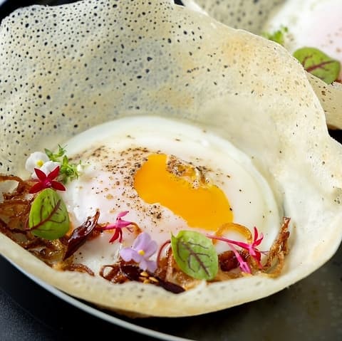 Egg hopper